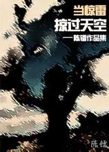 当惊雷掠过天空-陈镭封面