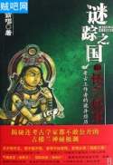 谜踪之国封面