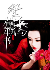 鸳鸯两字怎生书封面