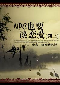 npcҲҪ̸����[����]-npc��Ե�������