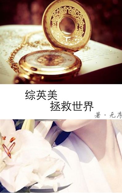 (综英美同人) 拯救世界封面